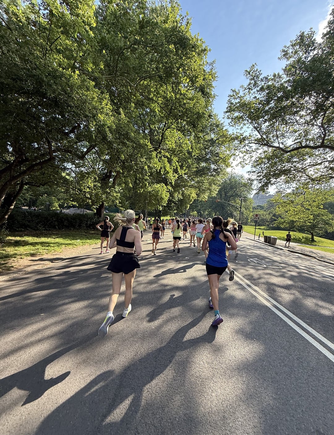 Runners on a tree-lined park road